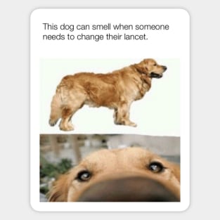 Dog Lancet Meme Sticker